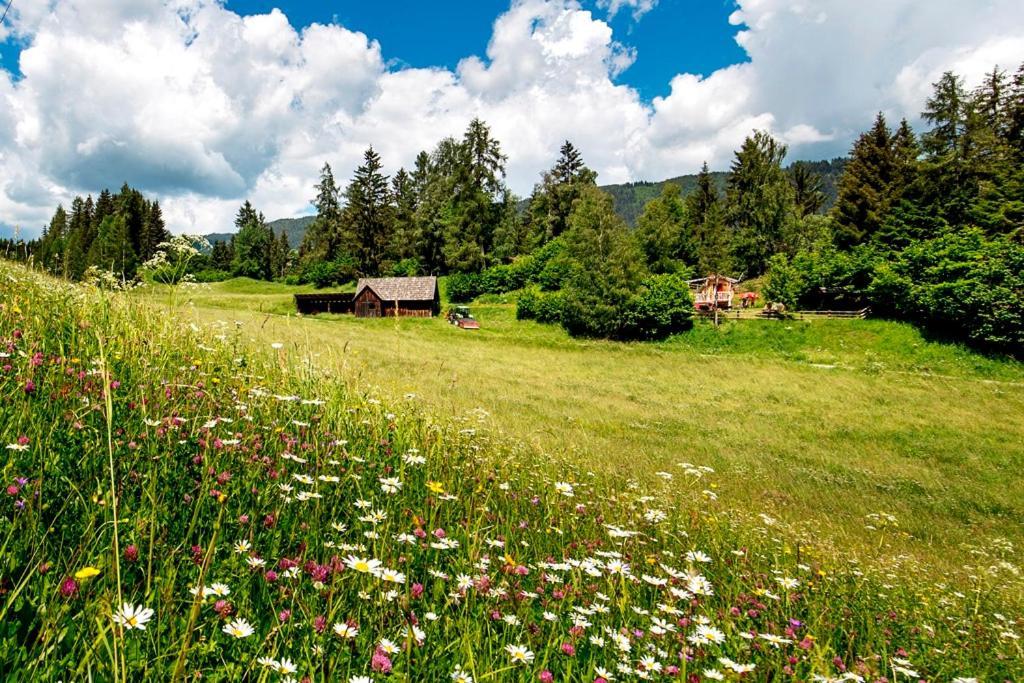 Gaestehaus Biobauernhof Mandl Murau Eksteriør bilde